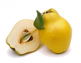 
Айва / Quince

