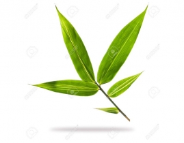 
Листья бамбука / Bamboo Leaves
