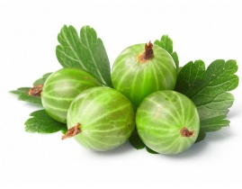
Крыжовник / Gooseberry
