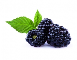 
Ежевика / Blackberry
