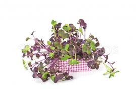 
Сакура микс / Cress Sakura Mix
