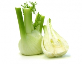 
Фенхель / Fennel
