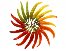 
Бейби перец микс / Baby Capsicum mix
