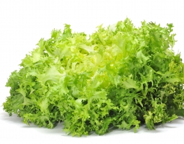 
Фризе желтое / Frisee
