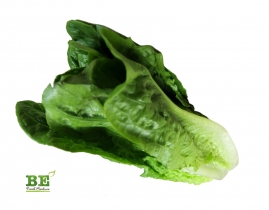 
Романо Lucas / Romain Lucas
