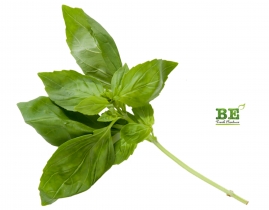 
Базилик зеленый / Basil
