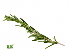 
Розмарин / Rosemary
