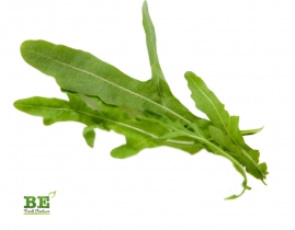 
Руккола / Rucola
